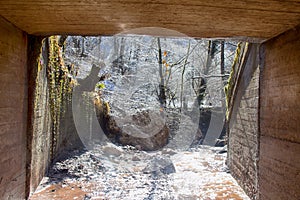 Exit underground tunnel. View of snow melt on tree