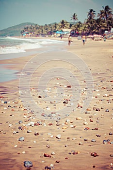 Exiting Anjuna beach panorama on low tide with white wet sand and green coconut palms, Goa, India