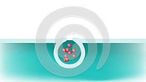 Exocytosis. cell transports molecules out of the cell