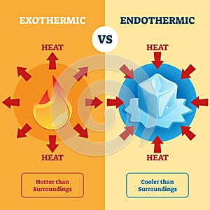 Exothermic and Endothermic vector illustration. Labeled educational scheme.