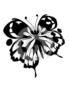 Exotic abstract butterfly closeup. Good for tattoo. Editable vector monochrome image with high details isolated on white
