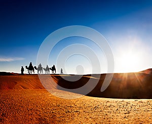 Exotic adventure: turist riding camels on sand dunes in desert at sunrise.