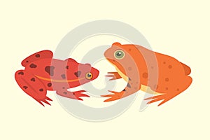 Exotic amphibian set. Frogs in different styles Cartoon Vector Illustration isolated. tropical animals