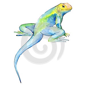 Exotic animal wild animal in a watercolor style. Background illustration set. Isolated reptilia illustration element.