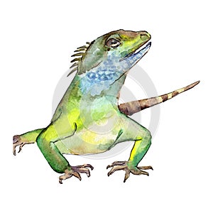 Exotic animal wild animal in a watercolor style. Background illustration set. Isolated reptilia illustration element. photo