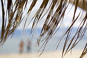 Exotic beach on the beach with parasol. A lonely empty beach umbrella made of reeds. Beautiful dry branches of palm trees