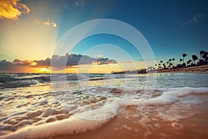 Exotic Beach in Dominican Republic, Punta Cana