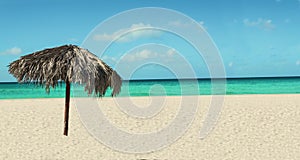 Exotic beach with palm tree umbrella, azure ocean