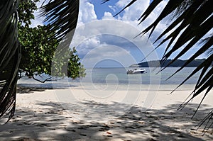 Exotic beach with palm trees in praslin island, seychelles