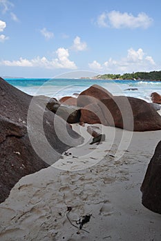 Exotic beach with palm trees in praslin island, seychelles