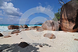 Exotic beach with palm trees in praslin island, seychelles