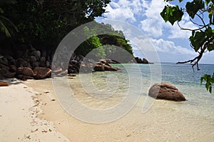 Exotic beach with palm trees in praslin island, seychelles