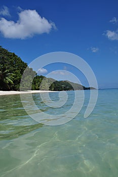 Exotic beach with palm trees in praslin island, seychelles