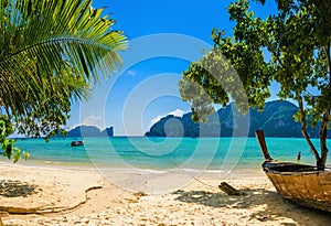 Exotic beach with palms and boats, Thailand photo