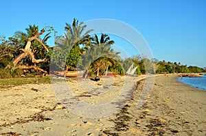 Exotic beach in Zanzibar, Tanzania
