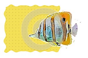 Exotic Beaked Coralfish fish illustration