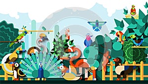 Exotic Birds Background