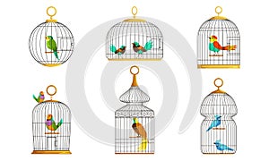 Exotic Birds in Cages Collection, Cute Colorful Birdies Vector Illustration on White Background