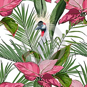 Exotic birds, palm leaves, white background. Floral seamless pattern. Tropical illustration.