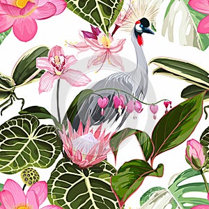 Exotic birds, palm leaves, white background. Floral seamless pattern. Tropical illustration.