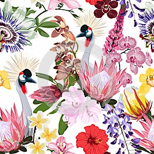 Exotic birds, protea, orchids and many others exotic flowers, white background. Floral seamless pattern. Tropical illustration.