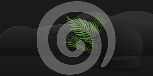 Exotic black pedestal with palm leaf to display your product. 3D vector cylinder stage for presentation. Abstract shapes.