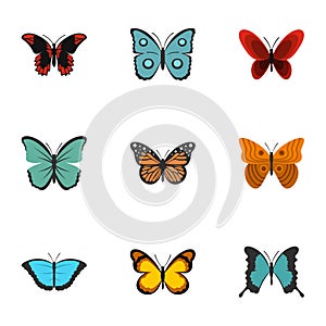 Exotic butterflies icons set, flat style