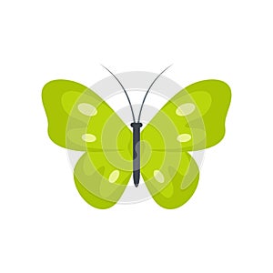 Exotic butterfly icon, flat style.