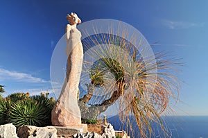 Exotic cacti garden at the very top of the mediaeval hilltop village of Eze, France photo