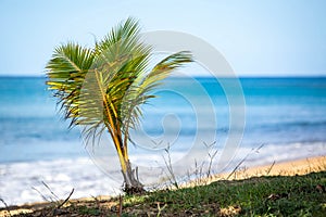 Exotic carribean shore of Puerto Rico Flamenco beach