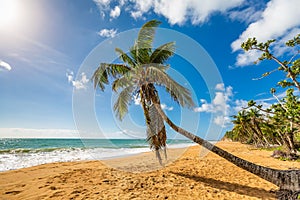 Exotic carribean shore of Puerto Rico Flamenco beach