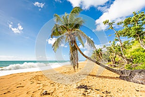 Exotic carribean shore of Puerto Rico Flamenco beach photo