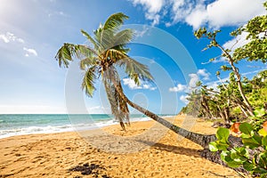 Exotic carribean shore of Puerto Rico Flamenco beach