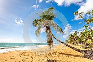 Exotic carribean shore of Puerto Rico Flamenco beach