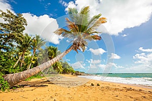 Exotic carribean shore of Puerto Rico Flamenco beach