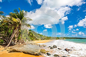 Exotic carribean shore of Puerto Rico Flamenco beach