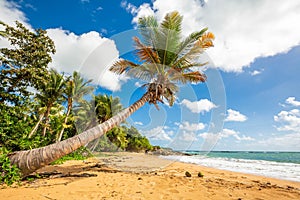 Exotic carribean shore of Puerto Rico Flamenco beach