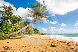 Exotic carribean shore of Puerto Rico Flamenco beach