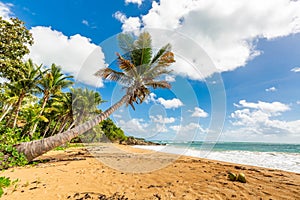 Exotic carribean shore of Puerto Rico Flamenco beach