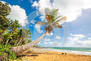 Exotic carribean shore of Puerto Rico Flamenco beach