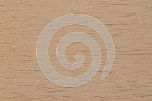 Exotic Cedar Wood Background