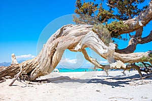 Exotic Chryssi island at the south of Crete, with the amazing Golden Beach, Greece