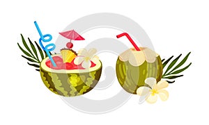 Exotic Cocktails with Straw and Umbrella Poured in Coconut and Watermelon Fruit Vector Set