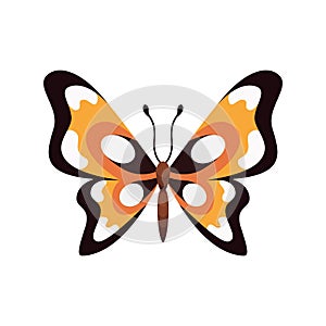 Exotic color butterfly. Hand drawn moth wings or insect. Cartoon tropical animal. Isolated vector icon