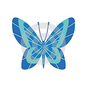 Exotic color butterfly. Hand drawn moth wings or insect. Cartoon tropical animal. Isolated vector icon