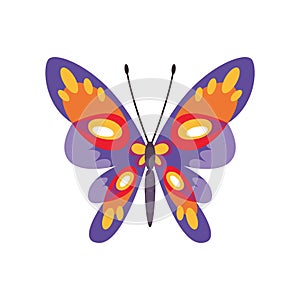 Exotic color butterfly. Hand drawn moth wings or insect. Cartoon tropical animal. Isolated vector icon