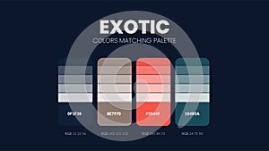 Exotic color scheme. Color Trends combinations and palette guide. Example of table color shades in RGB and HEX. Color swatch for