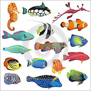 Exotic colorful tropical fish fishes collection set isolated.