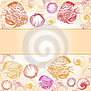 Exotic coral fishes and shells illustration text strip