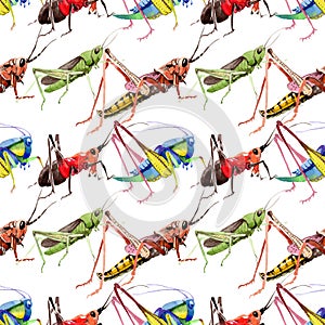 Exotic crickets wild insect in a watercolor style pattern.